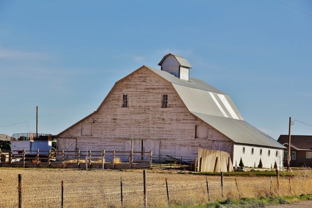 Barn